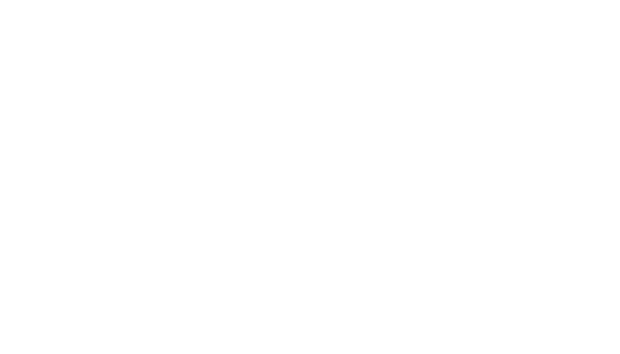 Blustream Logo