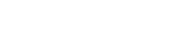 MadVR Labs Logo